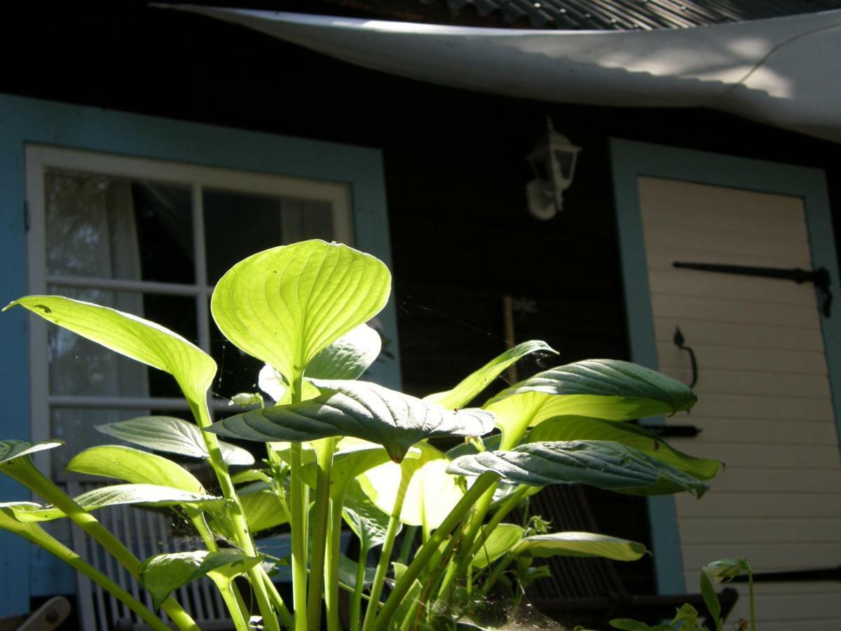 Ranna Villa Farm Kudema Luaran gambar